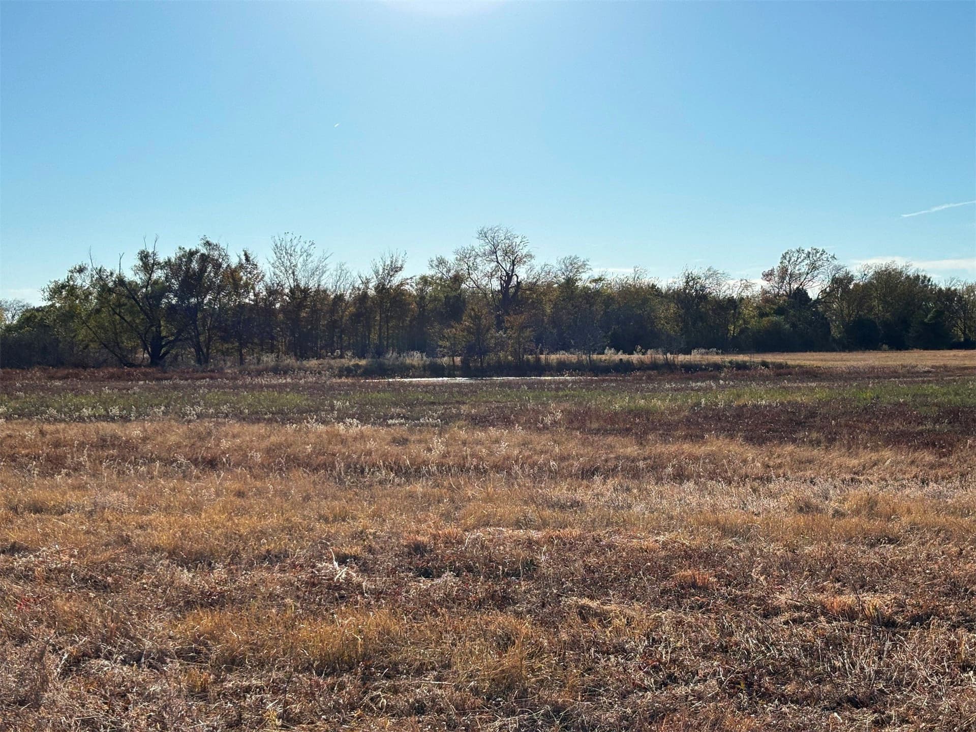 46 acres in Van Zandt County - photo 7