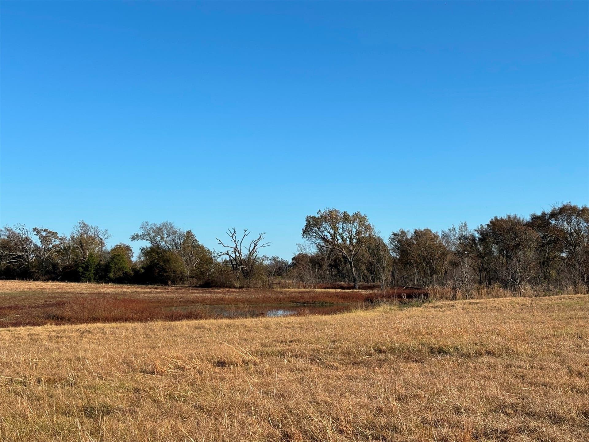 46 acres in Van Zandt County featured view