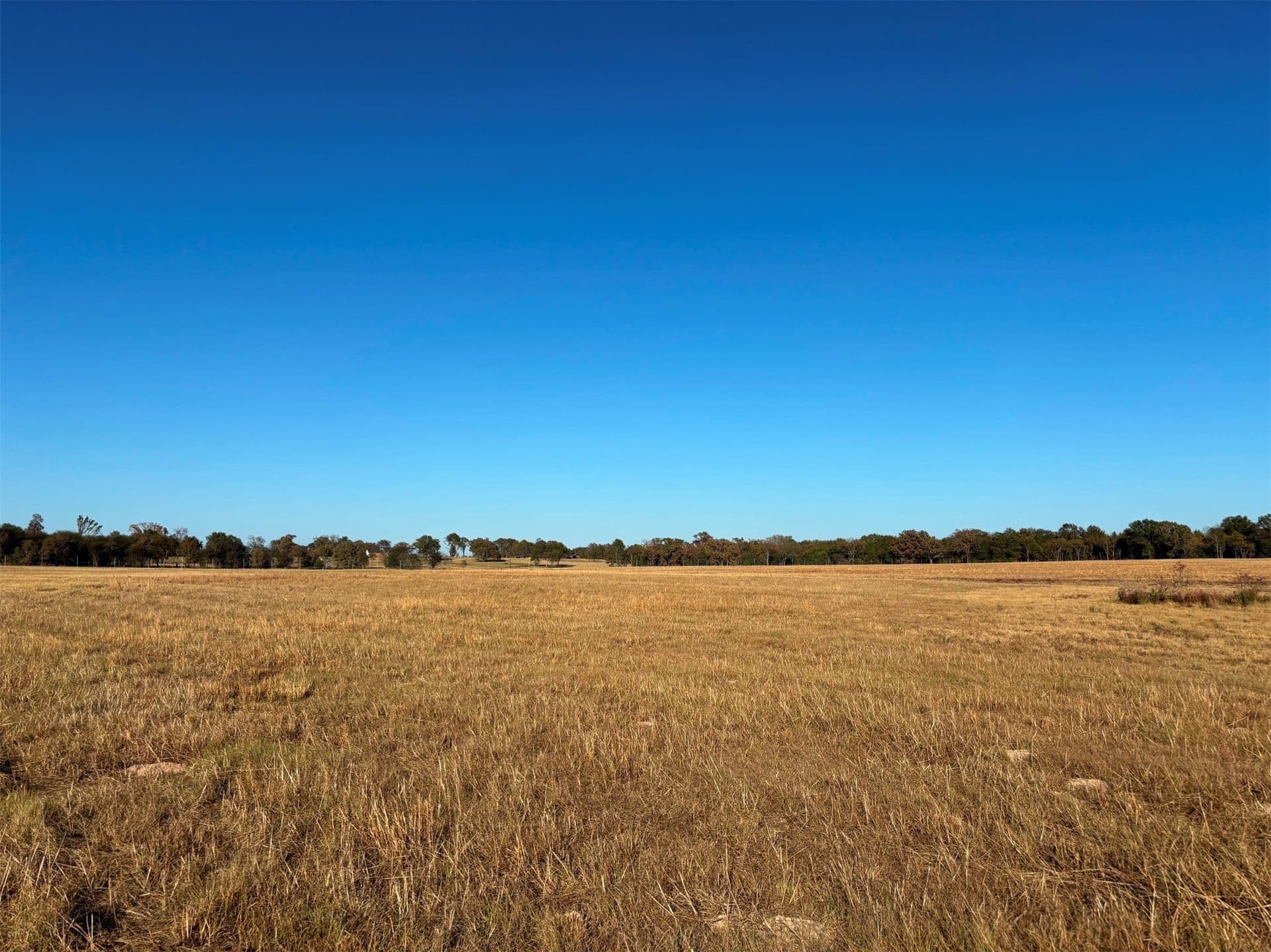 46 acres in Van Zandt County gallery image 2