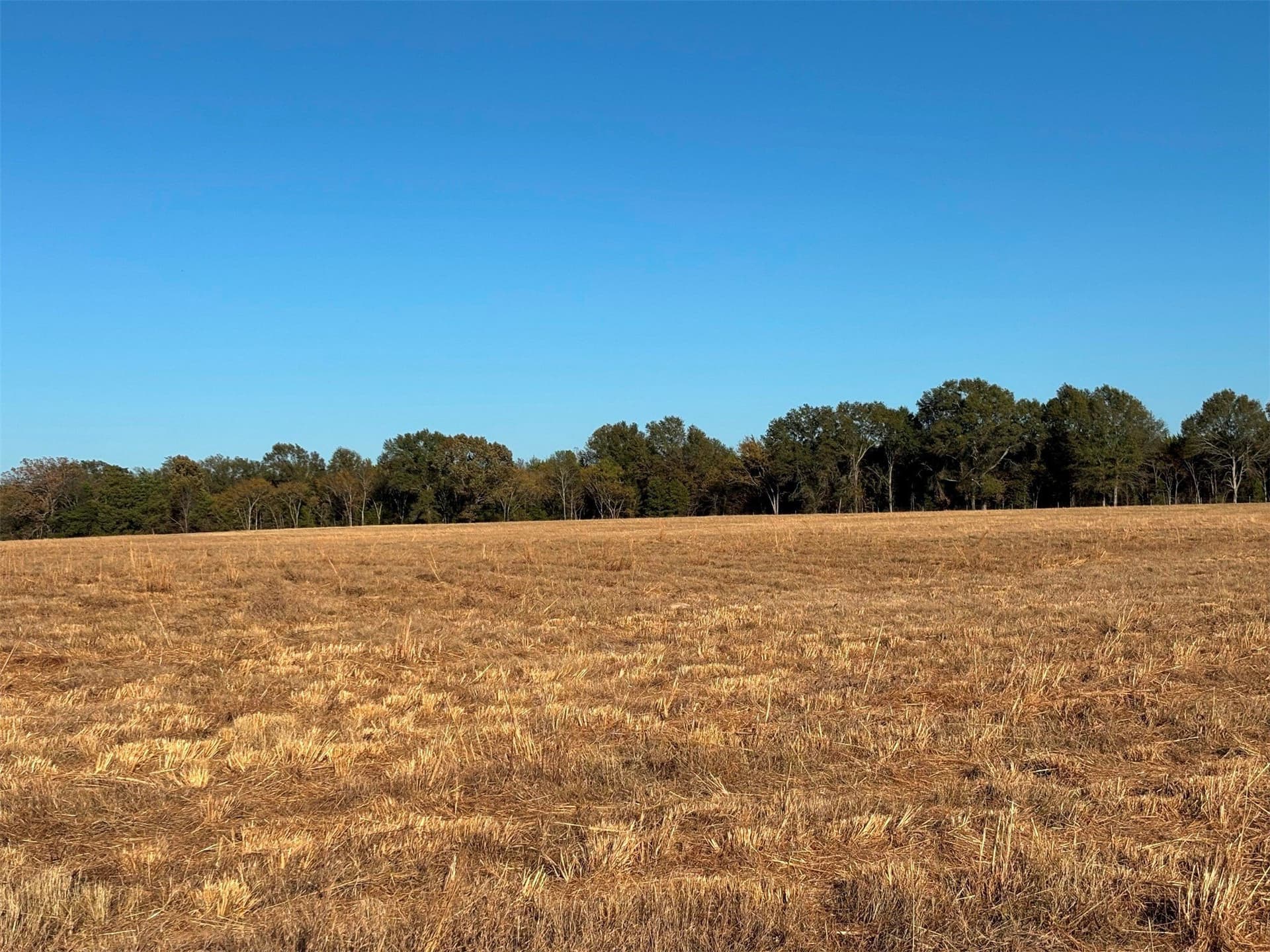 46 acres in Van Zandt County gallery image 4