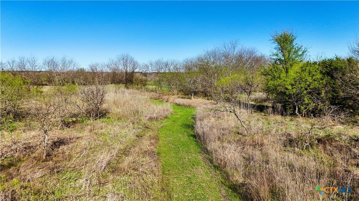 17.5 acres in Bell County - photo 9