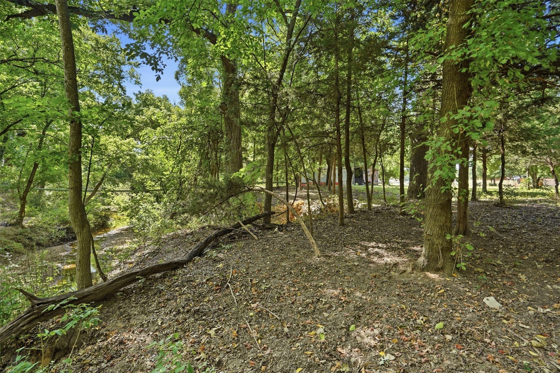 10.53 acres in Wise County - photo 16