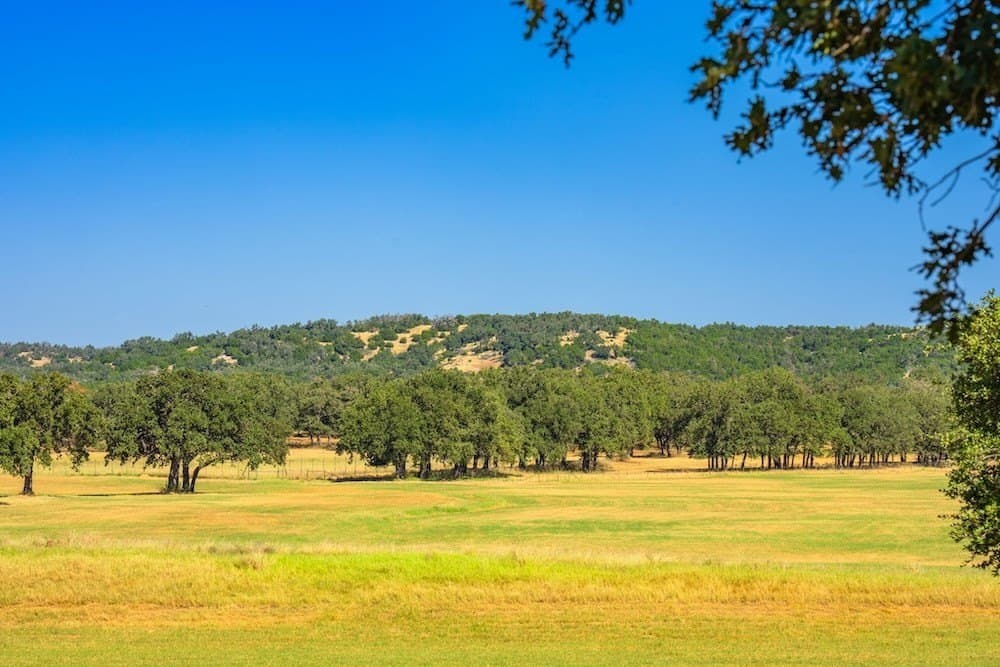 17 acres in Gillespie County - photo 7