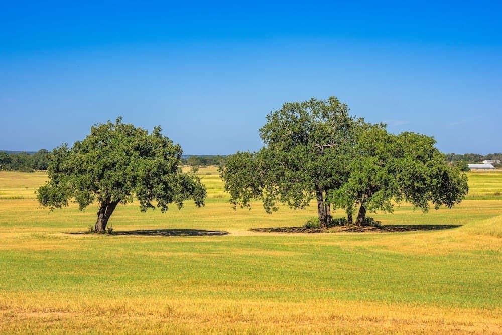 17 acres in Gillespie County - photo 18