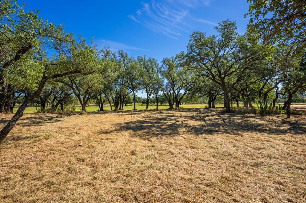 17 acres in Gillespie County - photo 27