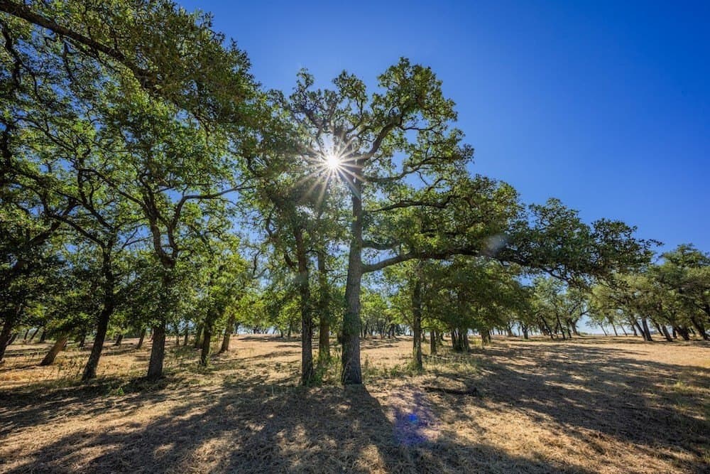 17 acres in Gillespie County - photo 19