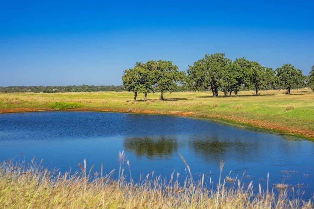 17 acres in Gillespie County - photo 20