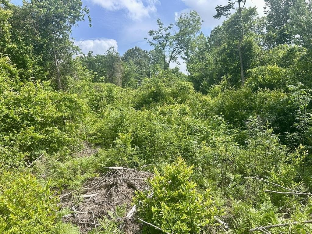 1.13 acres in Texas County - photo 8