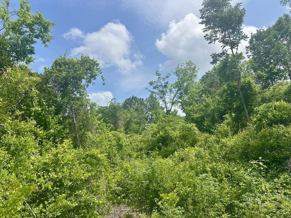1.13 acres in Texas County - photo 6