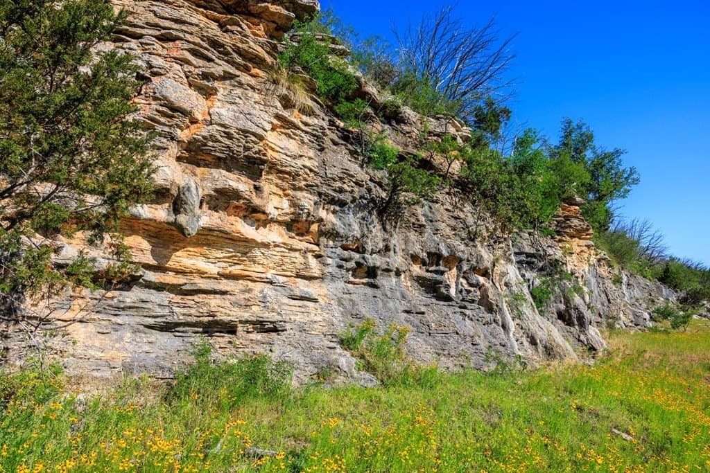 310 acres in Gillespie County - photo 38