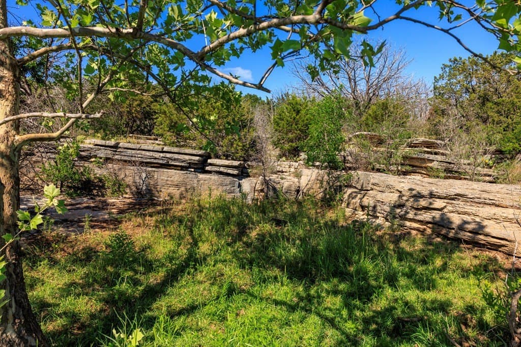 310 acres in Gillespie County - photo 13