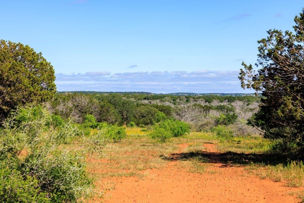 310 acres in Gillespie County - photo 39