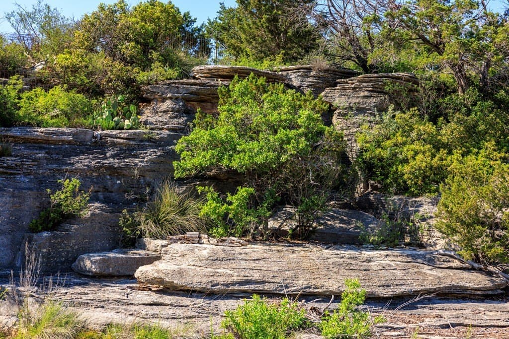 310 acres in Gillespie County - photo 15