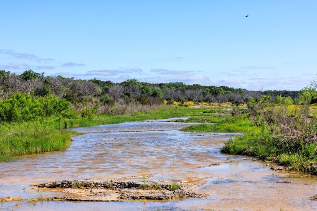 310 acres in Gillespie County - photo 40