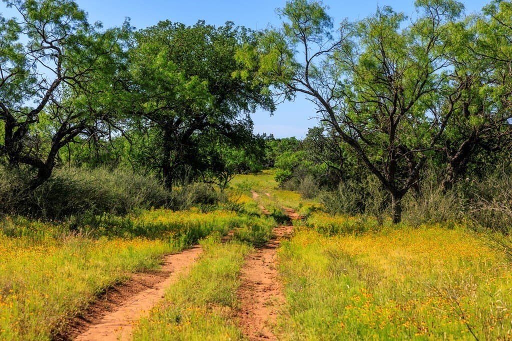310 acres in Gillespie County - photo 29