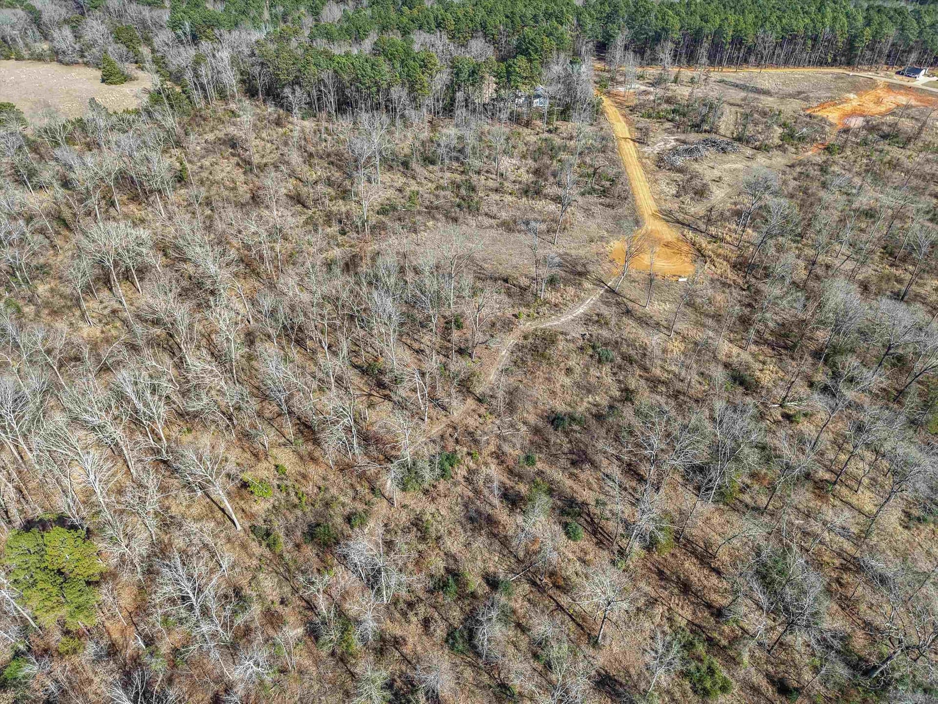 5.64 acres in Upshur County - photo 9