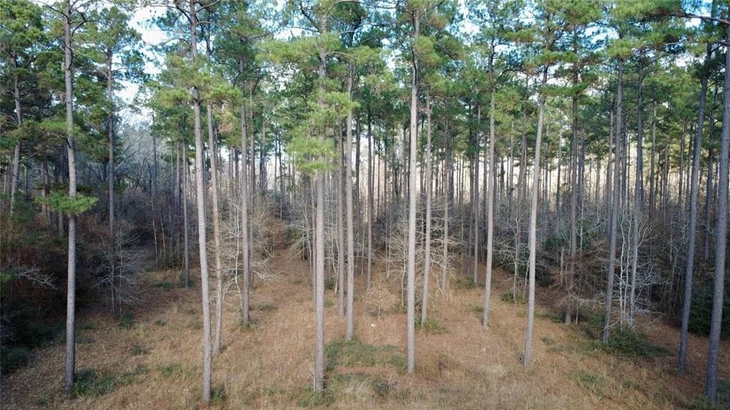 10 acres in HOUSTON County
