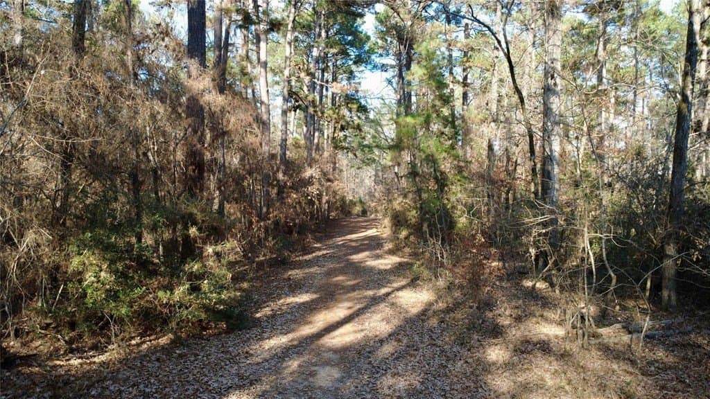 10 acres in HOUSTON County gallery image 3