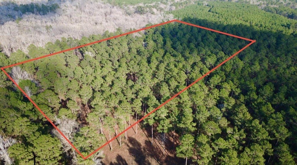 10 acres in HOUSTON County gallery image 2