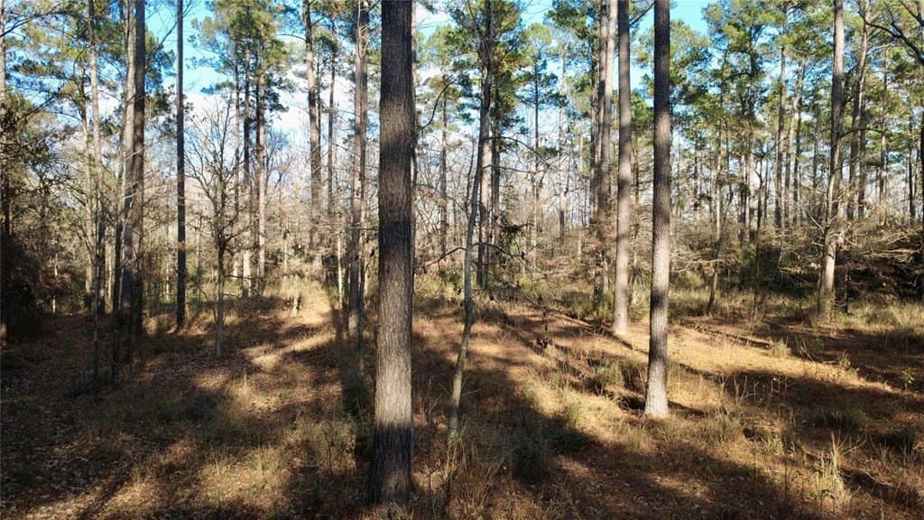 10 acres in HOUSTON County featured view