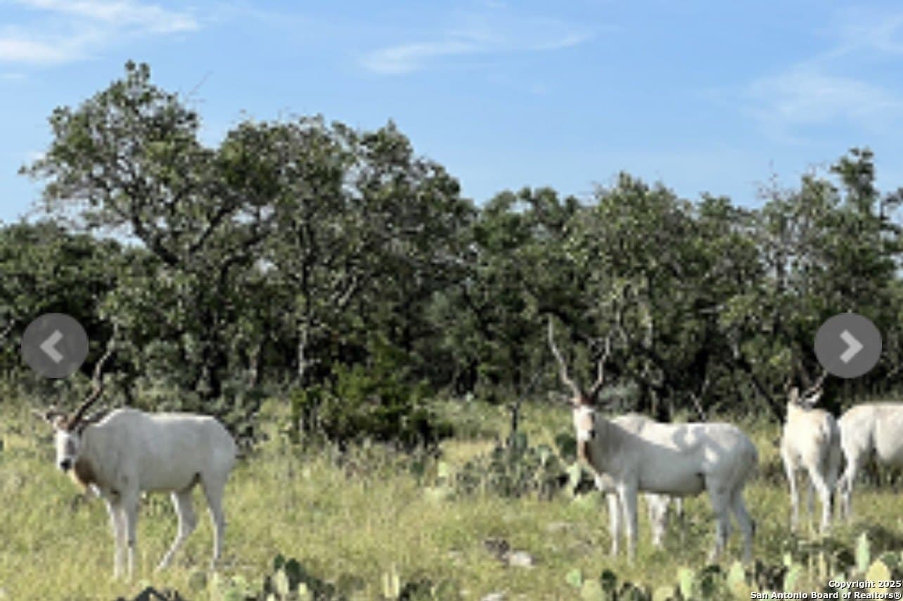 300.53 acres in Schleicher County