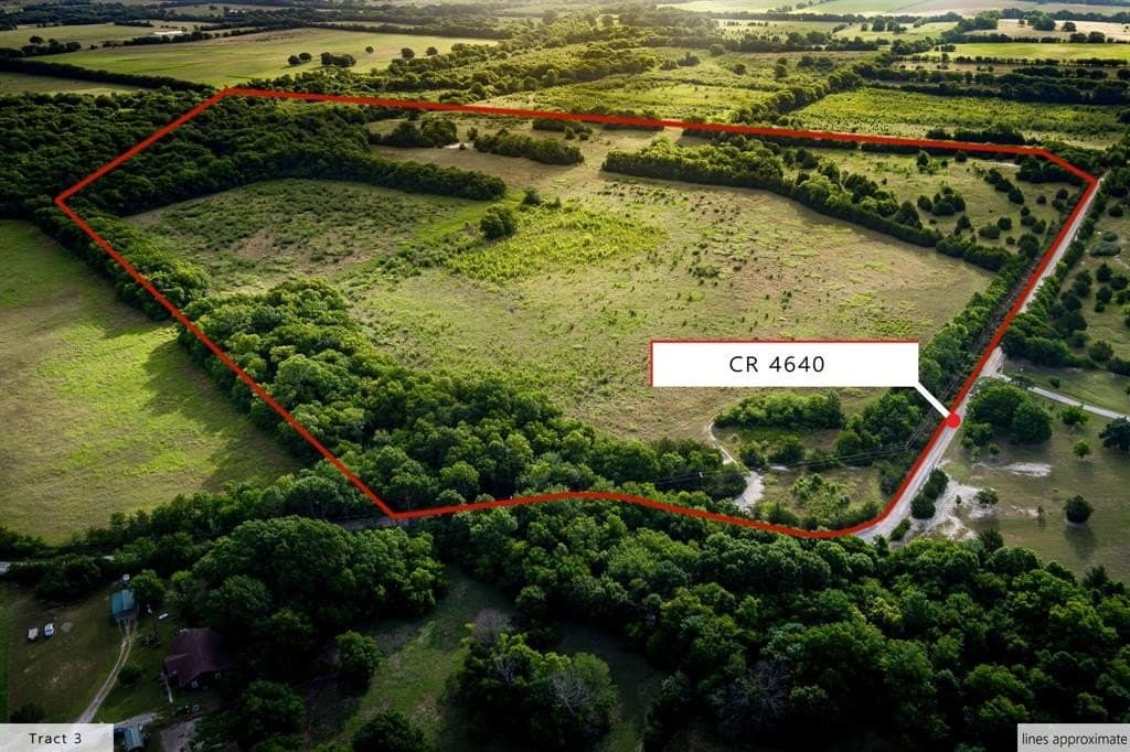 84.61 acres in Fannin County featured view