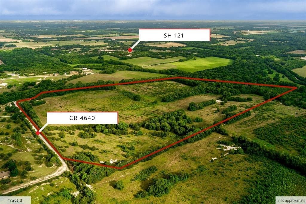 84.61 acres in Fannin County gallery image 3