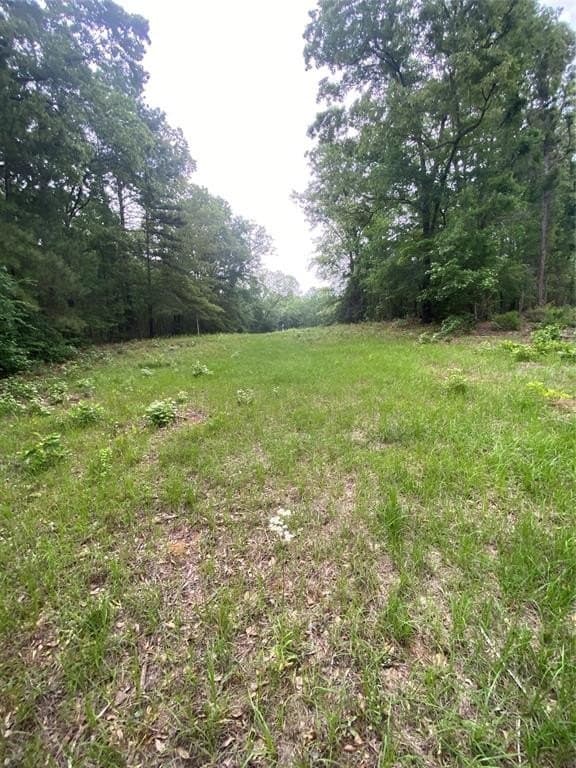 56.38 acres in Smith County gallery image 4