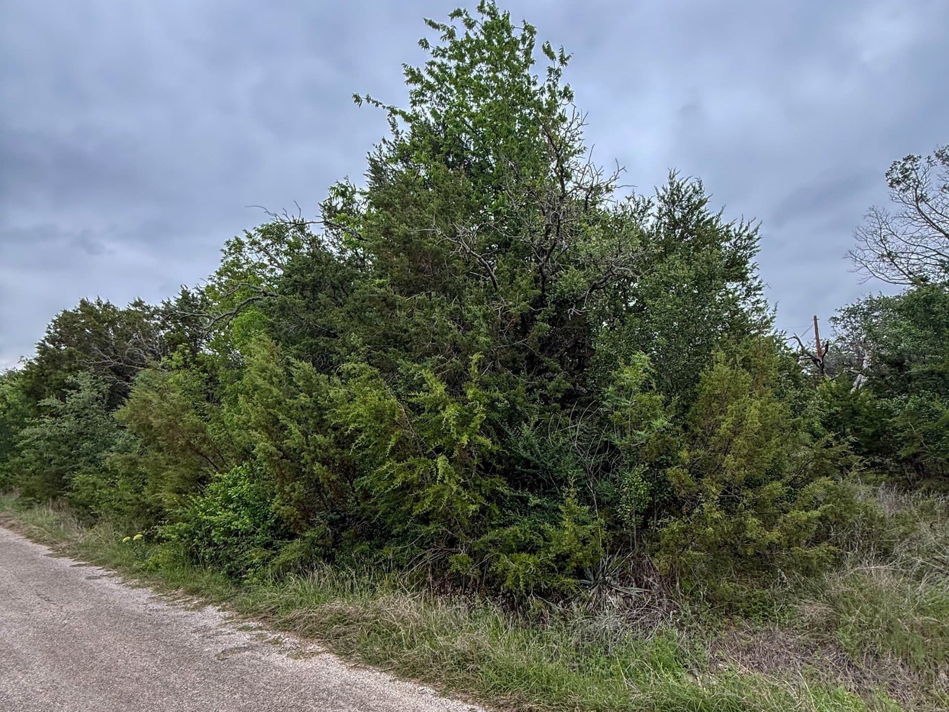 0.03 acres in Hood County - photo 3