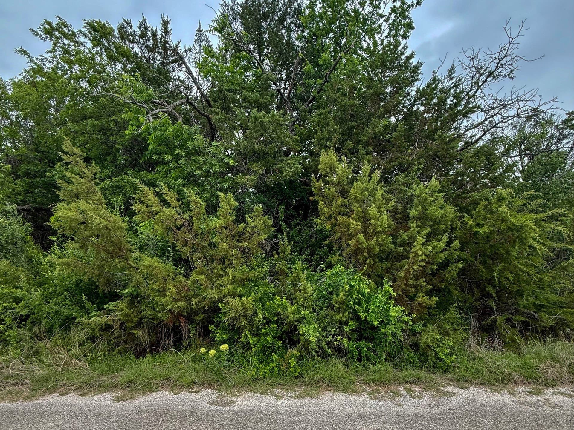 0.03 acres in Hood County - photo 2