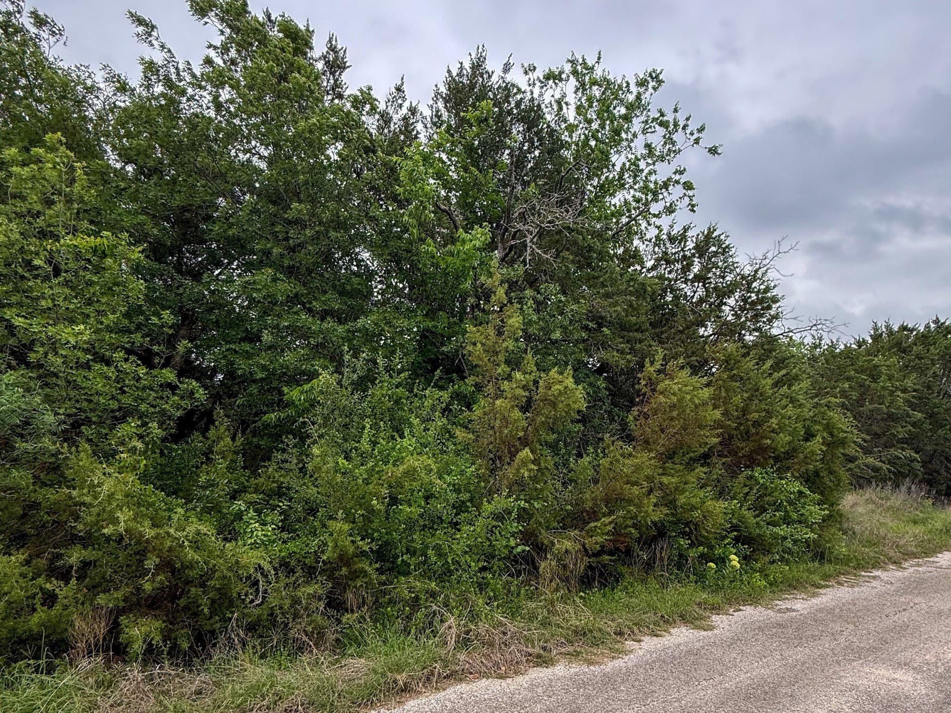 0.03 acres in Hood County - photo 4