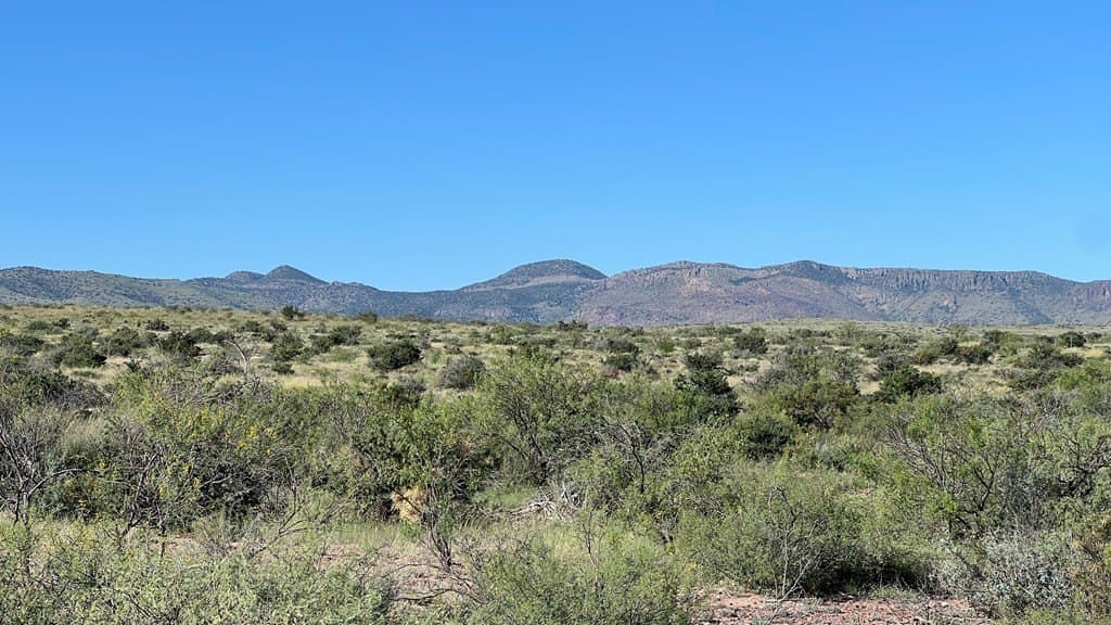 11.3 acres in Brewster County gallery image 4