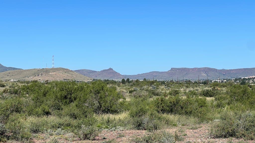 11.3 acres in Brewster County - photo 8