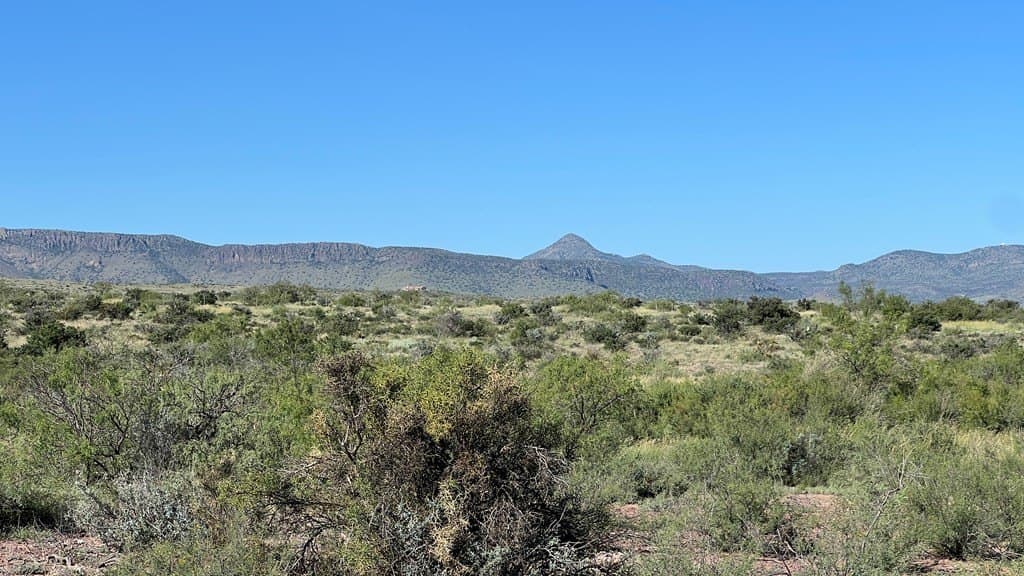 11.3 acres in Brewster County gallery image 3