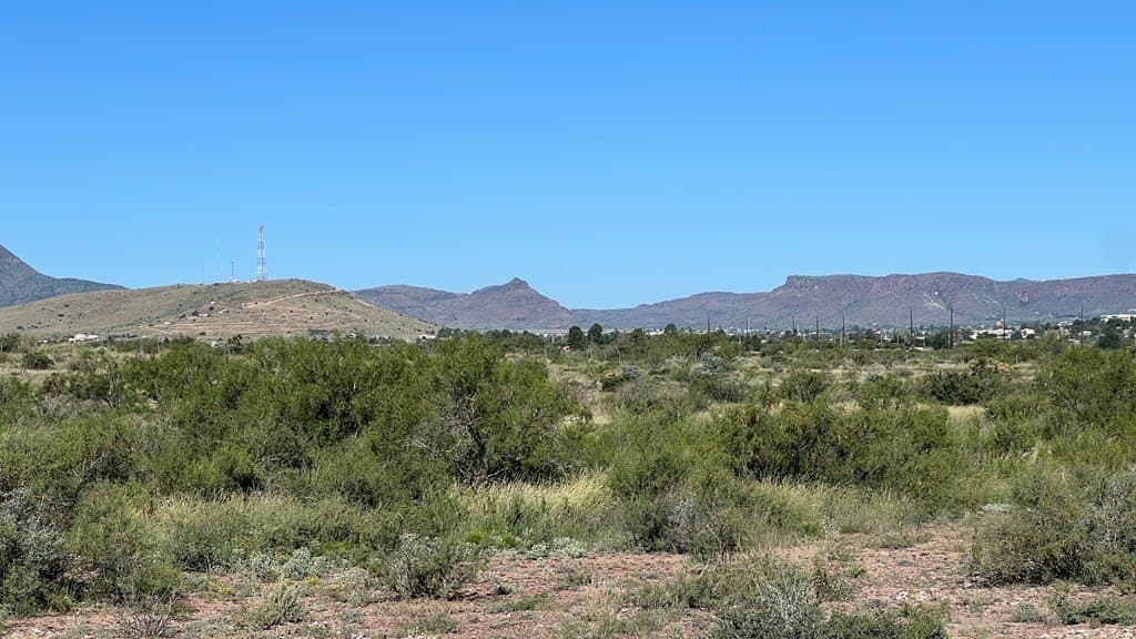 11.3 acres in Brewster County - photo 11