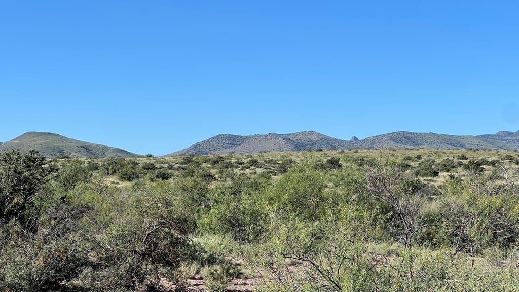 11.3 acres in Brewster County featured view