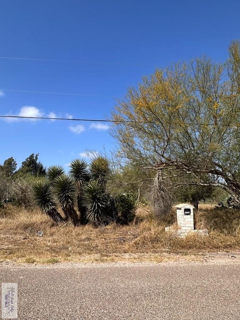 0.66 acres in CAMERON County - photo 3