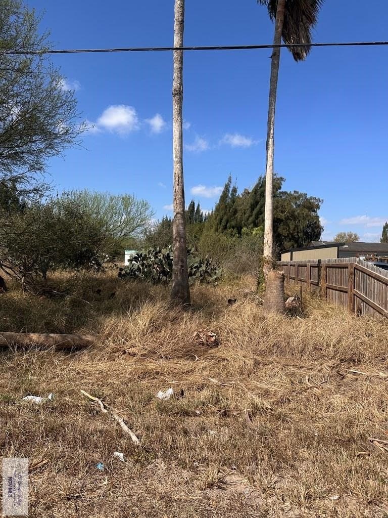 0.66 acres in CAMERON County - photo 4