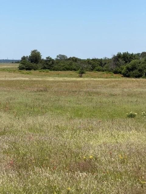 54.01 acres in Parker County gallery image 4