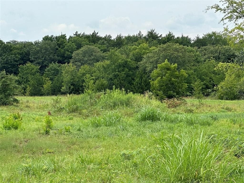 12.37 acres in Cooke County featured view
