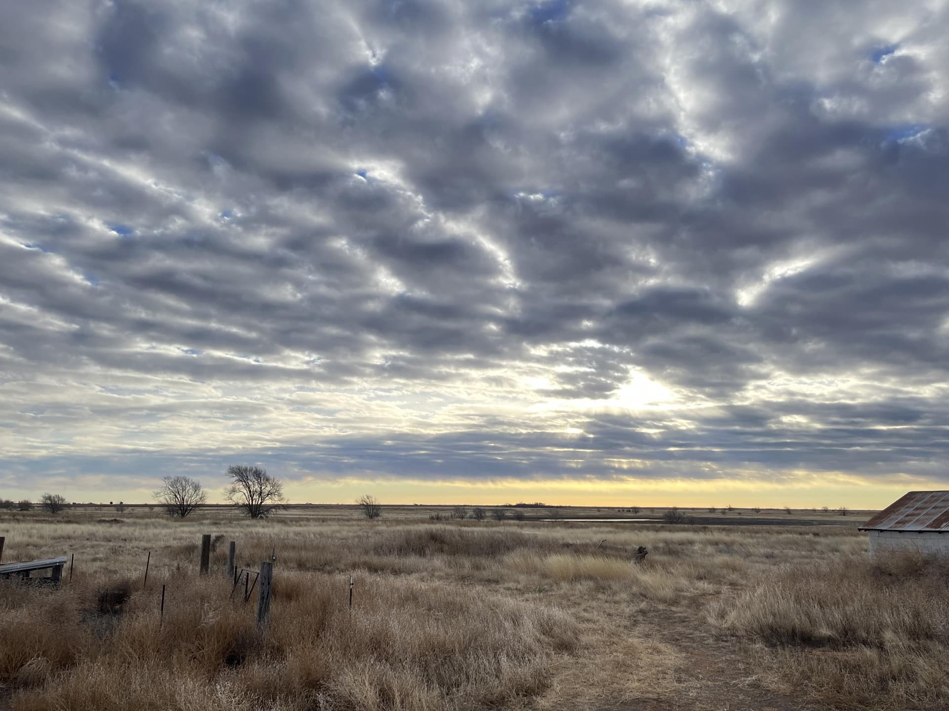 10 acres in Lamb County - photo 16