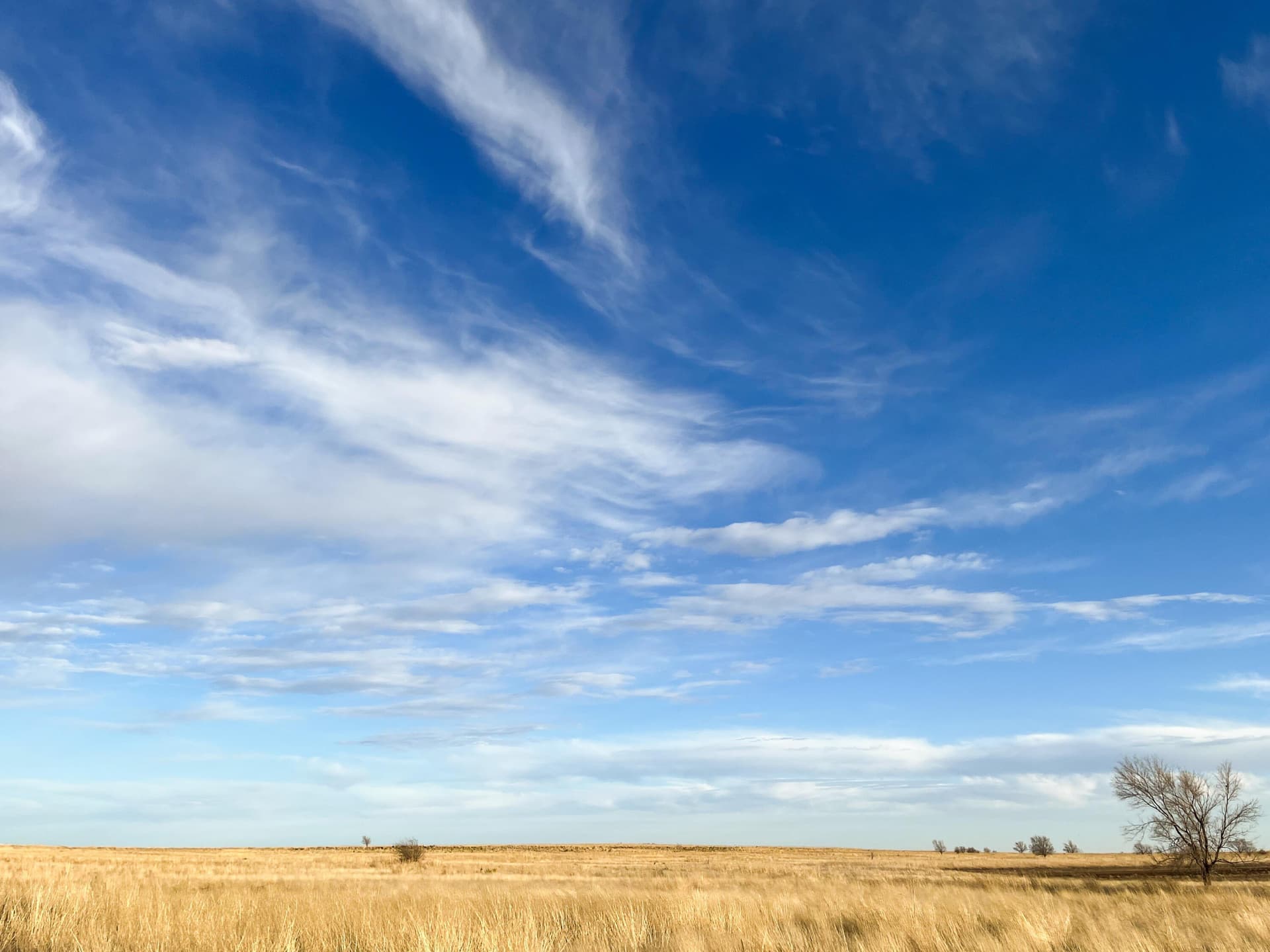 10 acres in Lamb County - photo 15