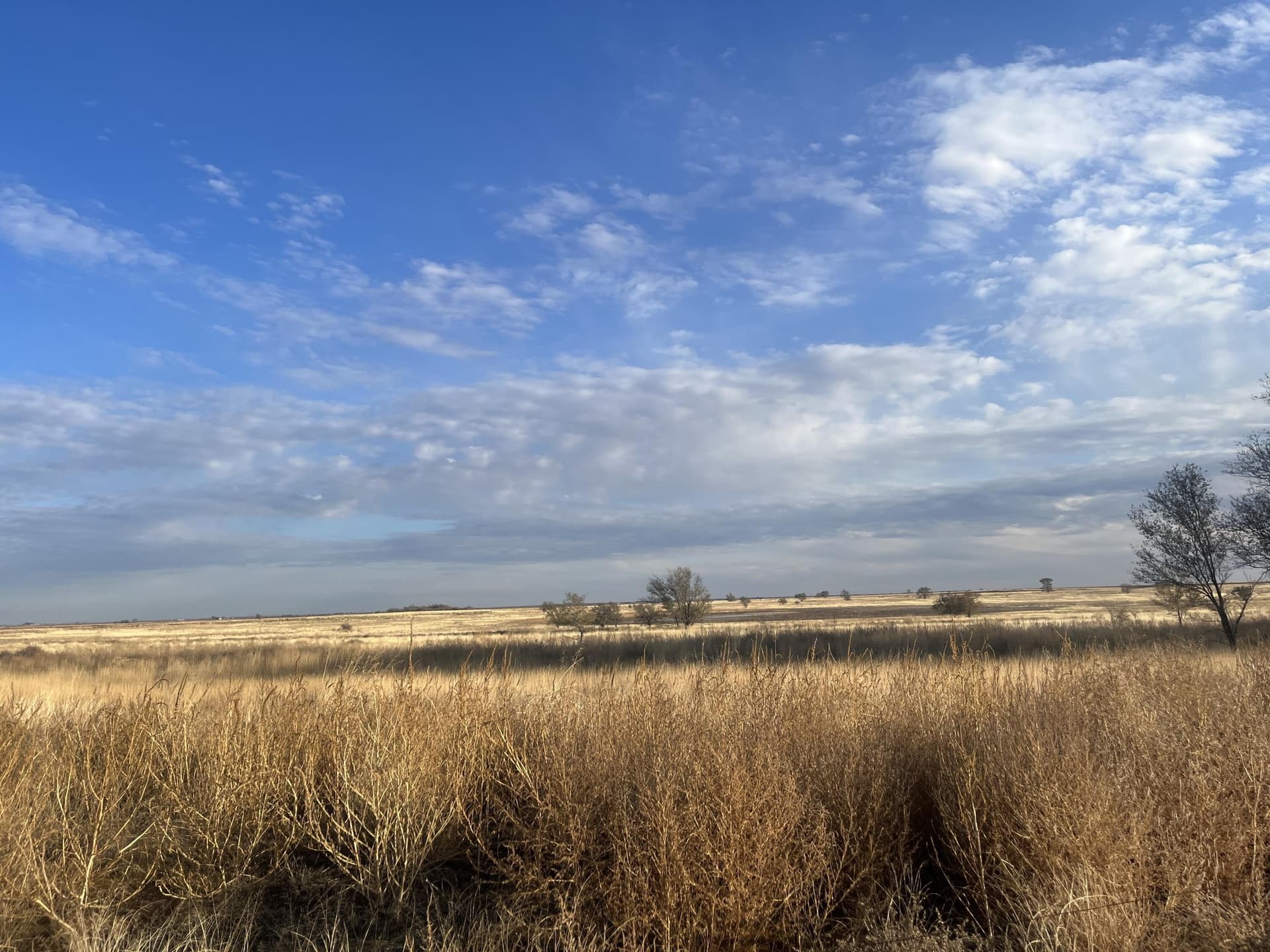 10 acres in Lamb County - photo 14