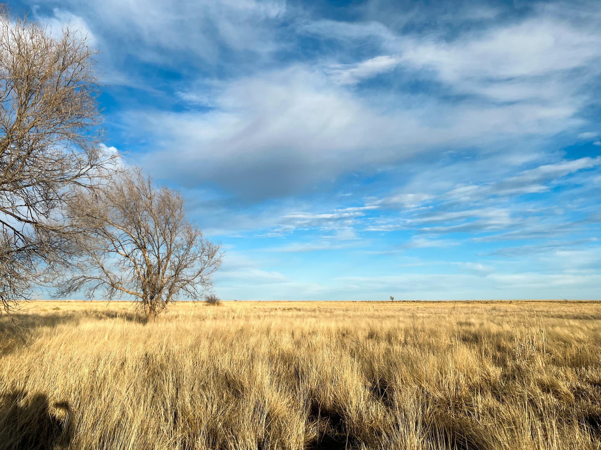 10 acres in Lamb County - photo 18
