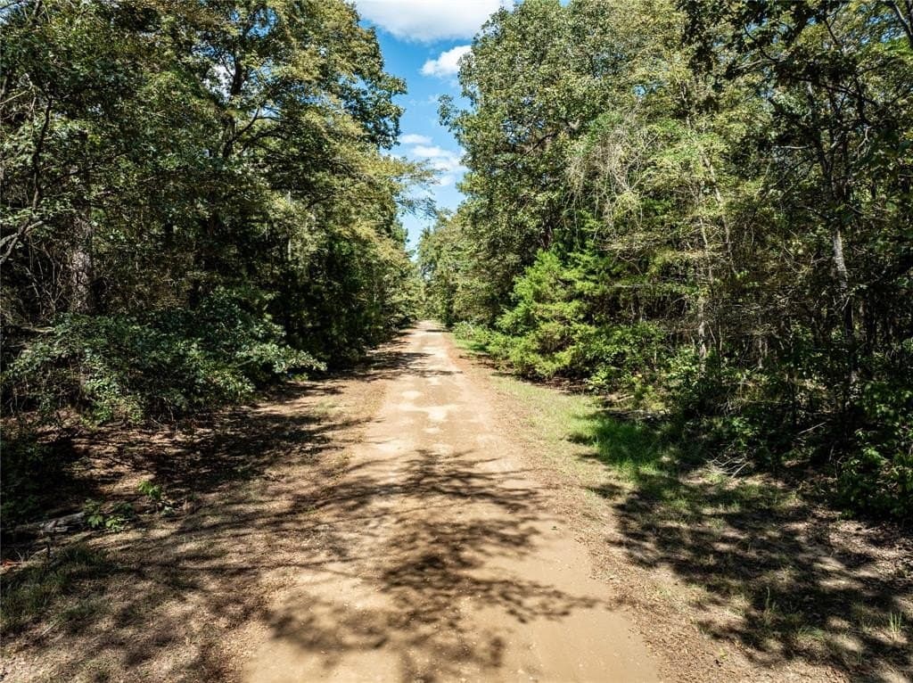 0.47 acres in Franklin (TX) County gallery image 4