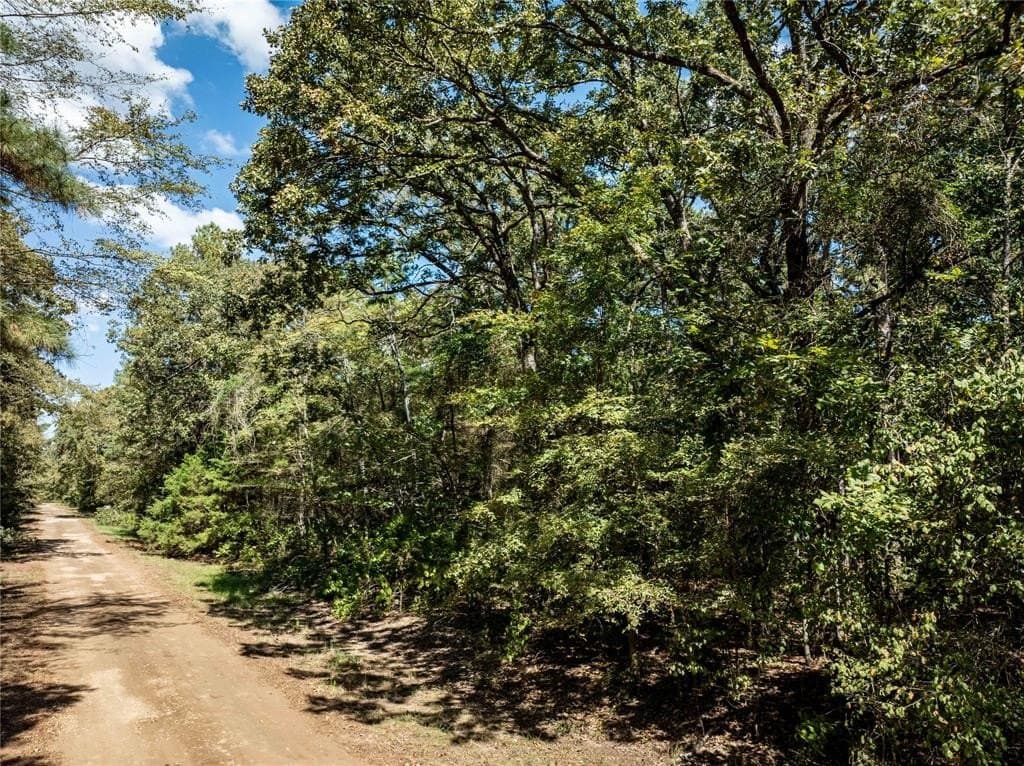 0.47 acres in Franklin (TX) County gallery image 2