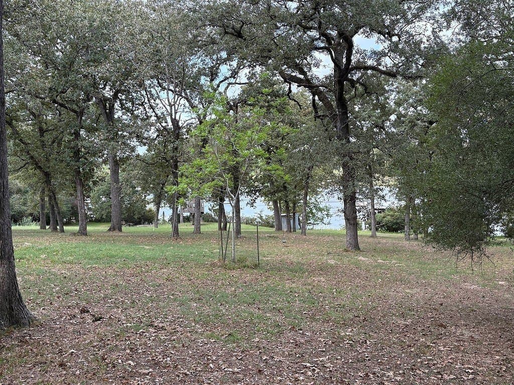 2 acres in Robertson County - photo 14