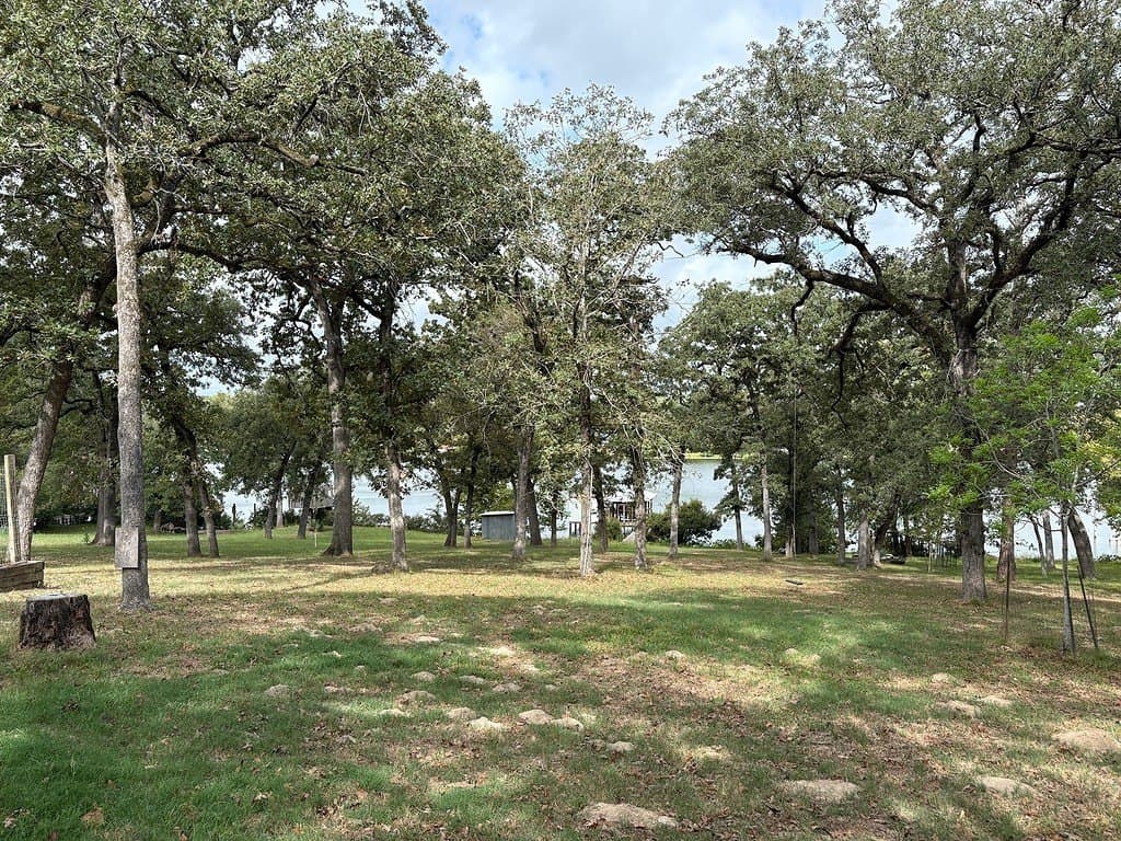 2 acres in Robertson County - photo 12