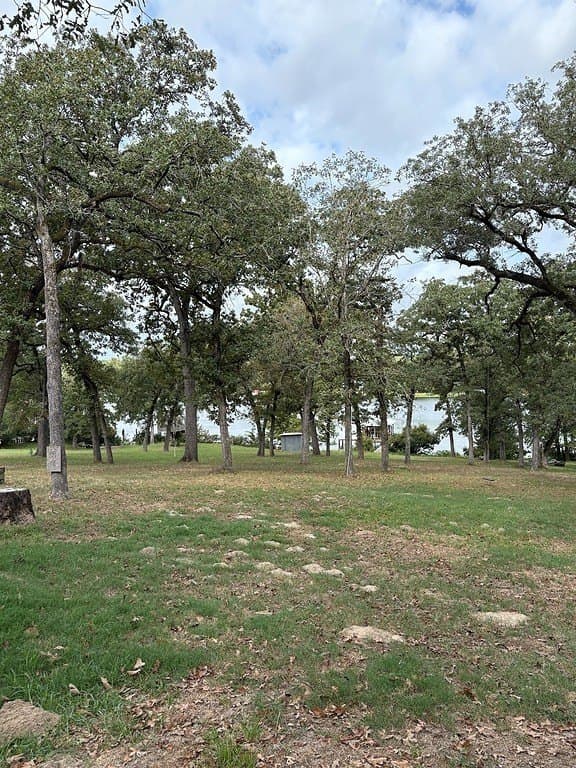 2 acres in Robertson County - photo 16