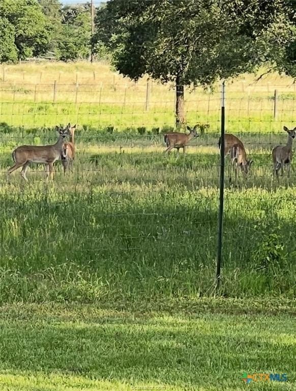 10 acres in Lee County - photo 38